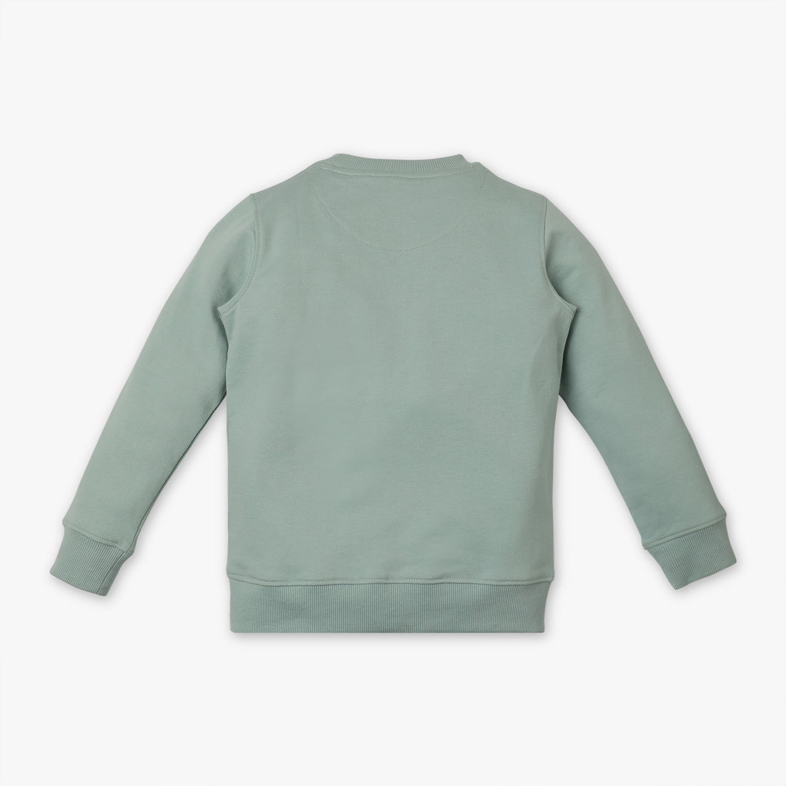 Boys Regular Fit Crew Neck Printed Sweat Tee