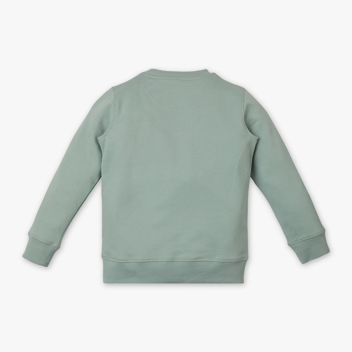 Boys Regular Fit Crew Neck Printed Sweat Tee