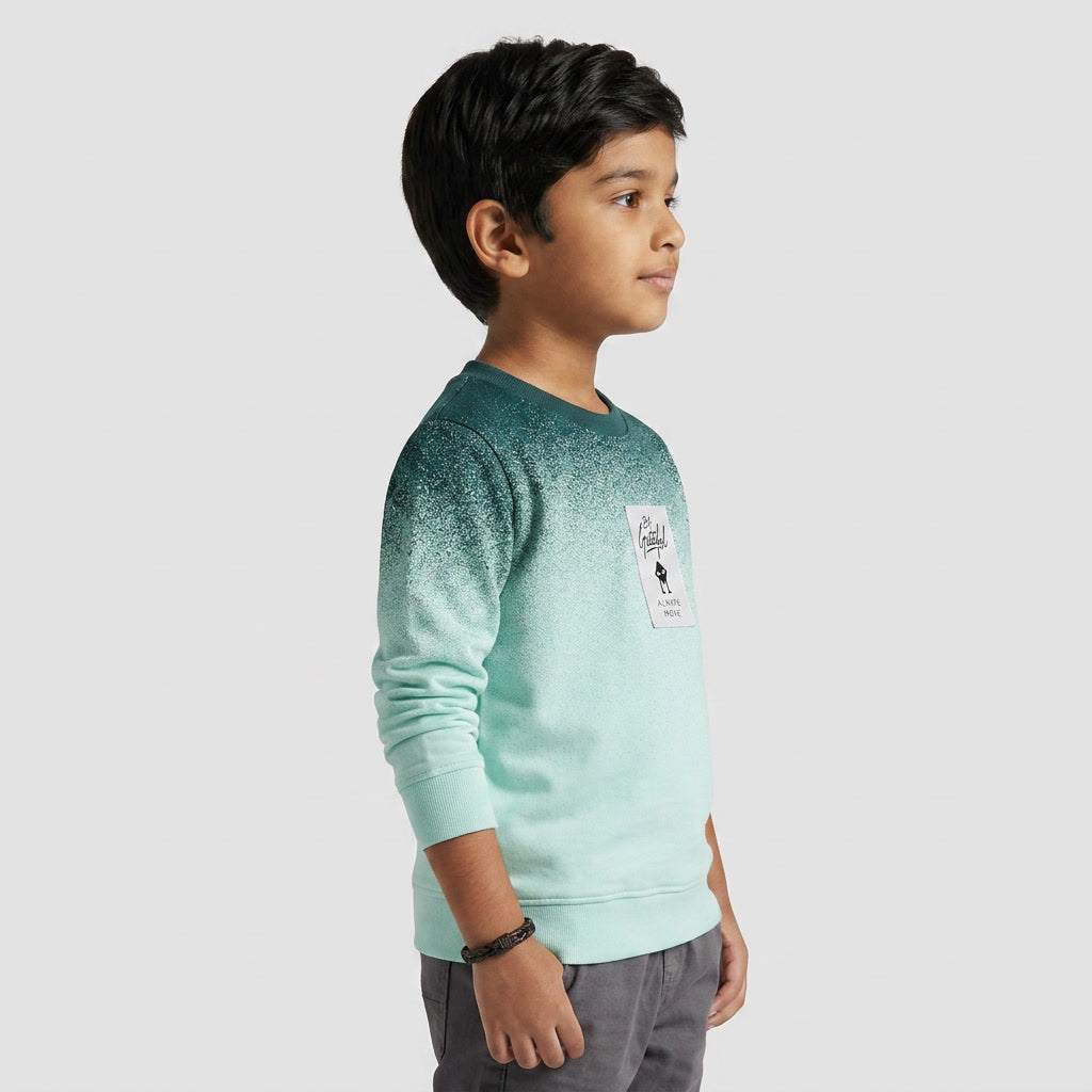 Boys Cotton Printed Sweat Tee