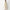 Buy Women Straight Fit Embroidered Three-Fourth Sleeve Kurta  - Style Union