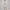 Printed Straight Kurta
