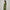 Embroidered V-Neck Straight Kurta