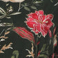 Printed Band Neck Ethnic Sets