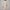 Embroidered Straight Kurta