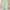 Order Now Women Striped Straight Fit Mid Rise Ethnic Wear Pant by Style Union