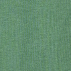 Cotton Graphic Slogan T-Shirt