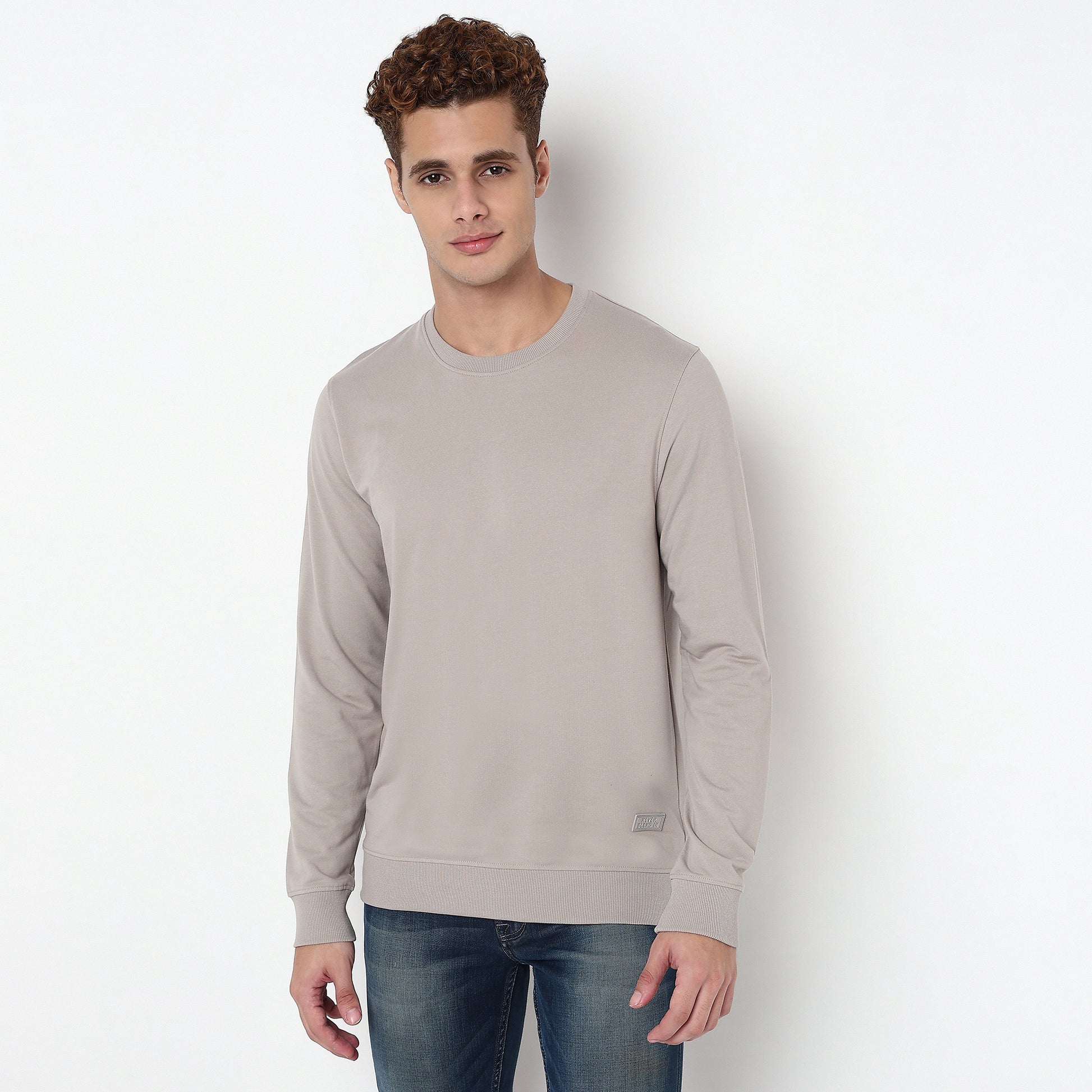 Regular Fit Solid Sweatshirt