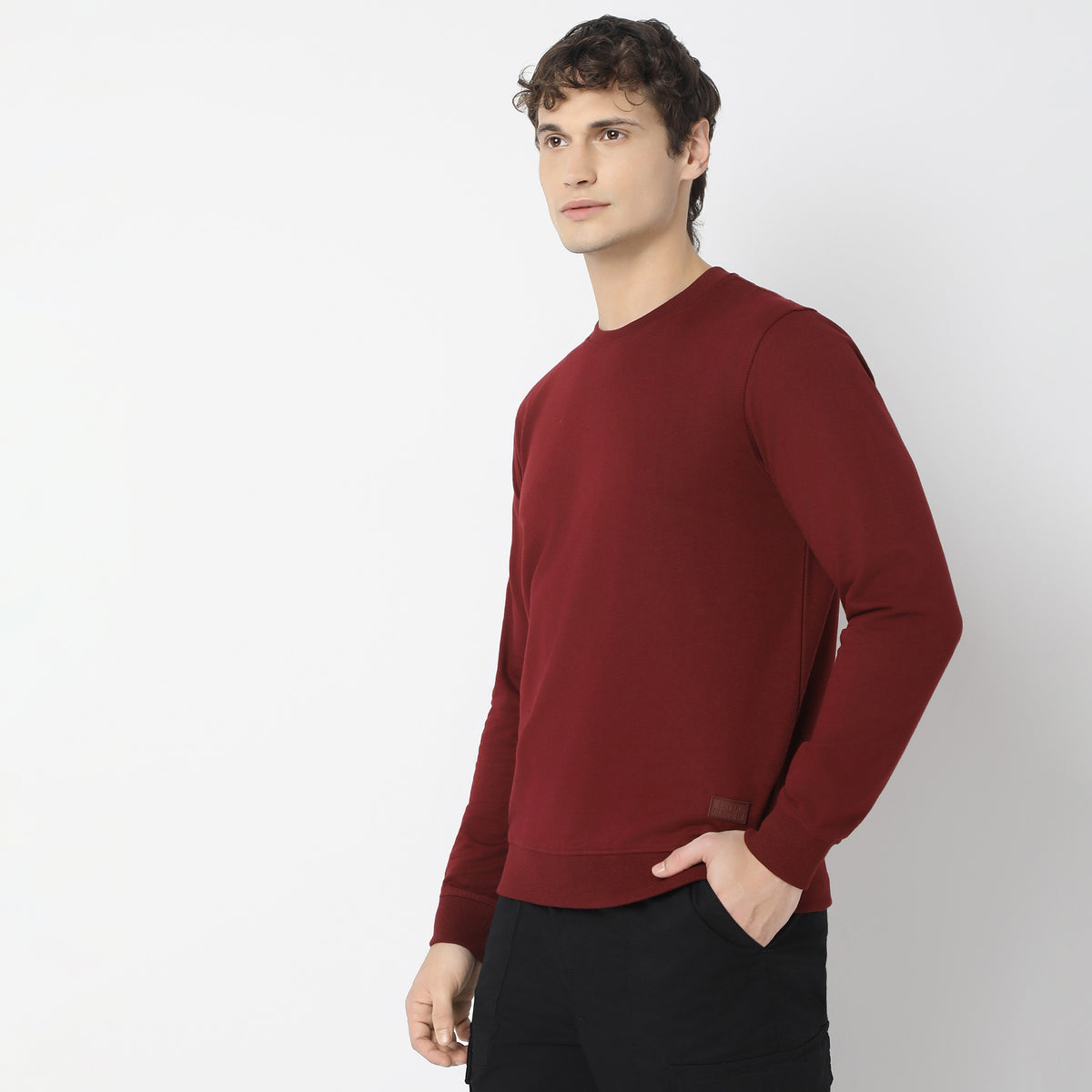 Regular Fit Solid Sweatshirt