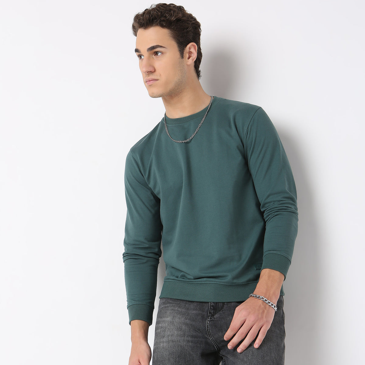 Regular Fit Solid Sweatshirt