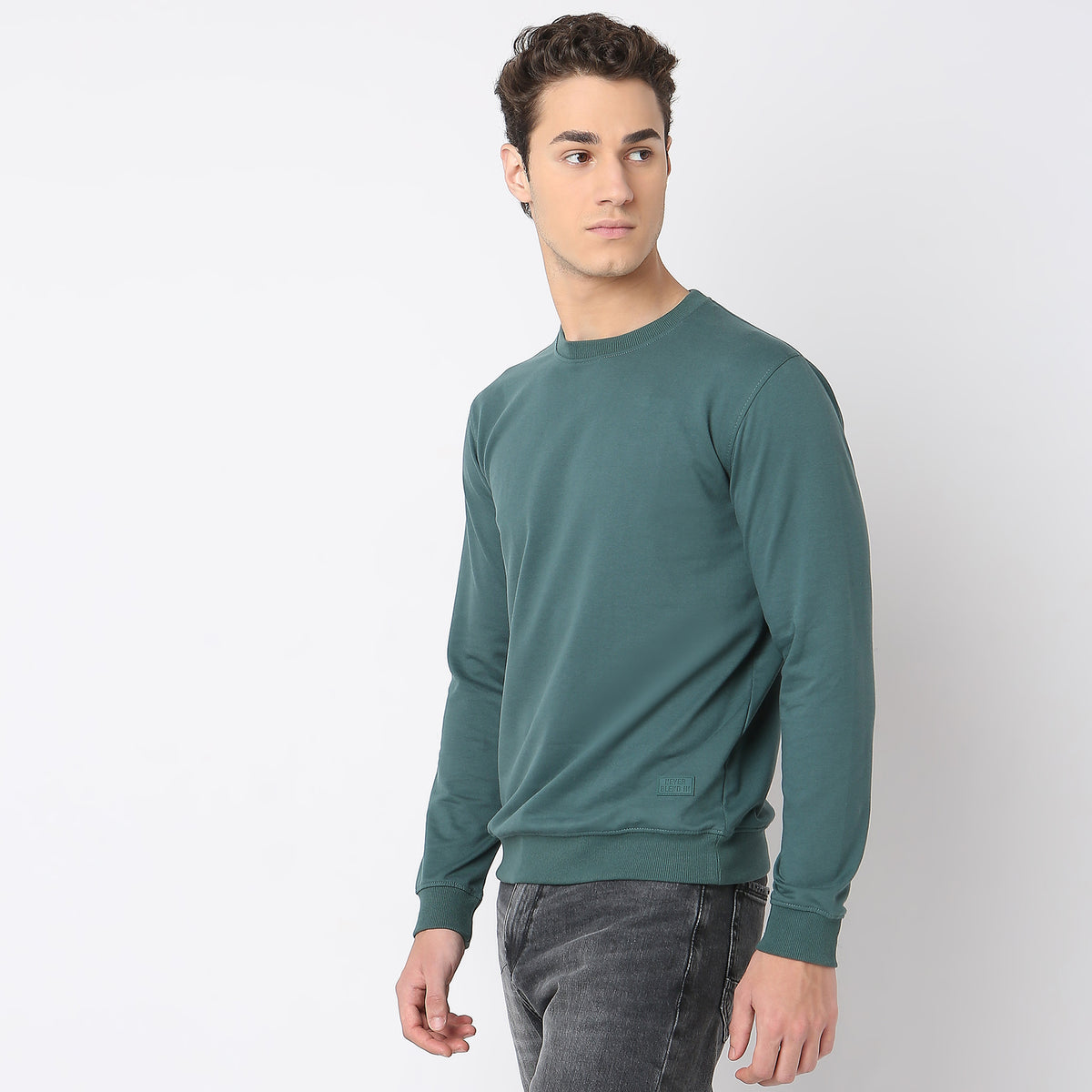 Regular Fit Solid Sweatshirt