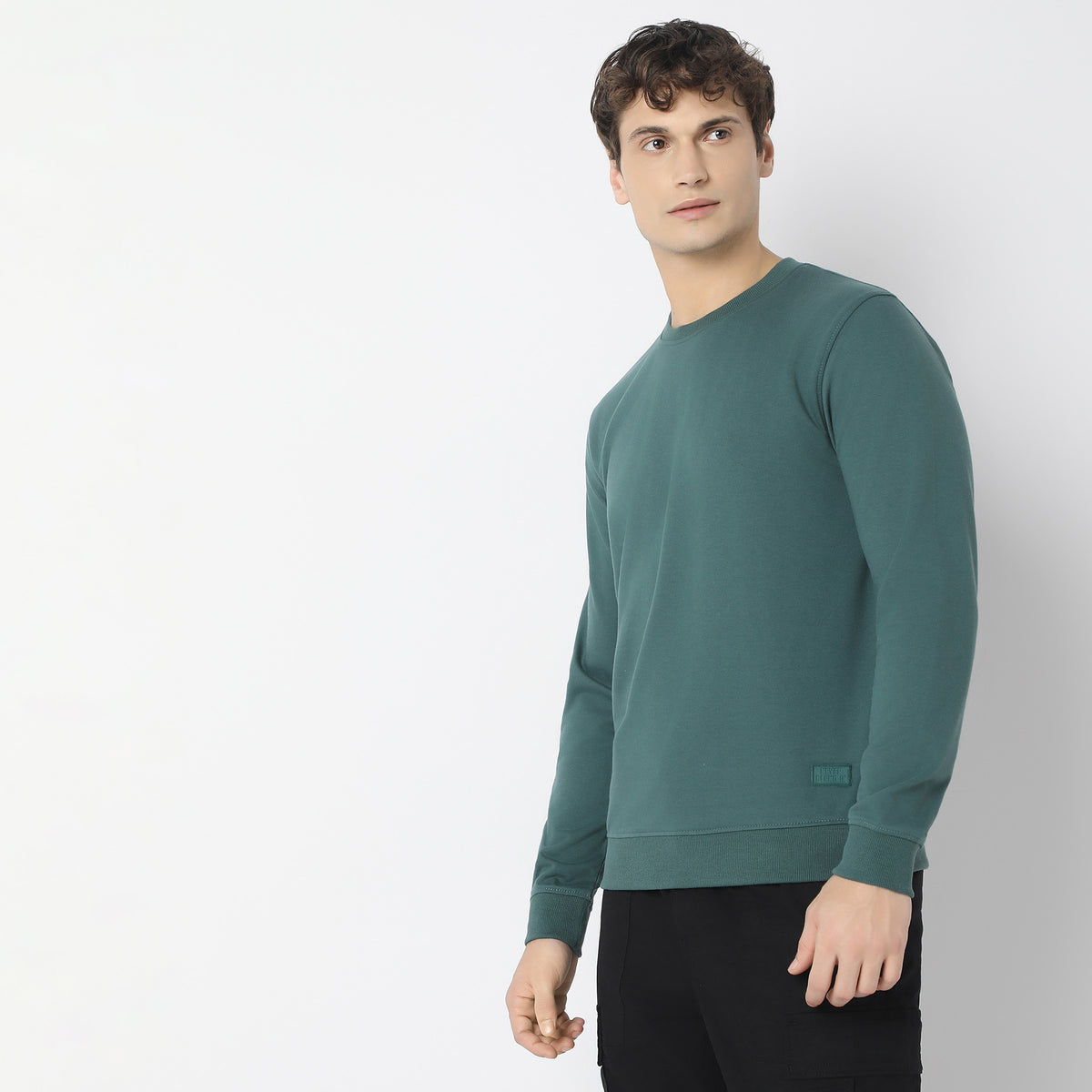 Regular Fit Solid Sweatshirt