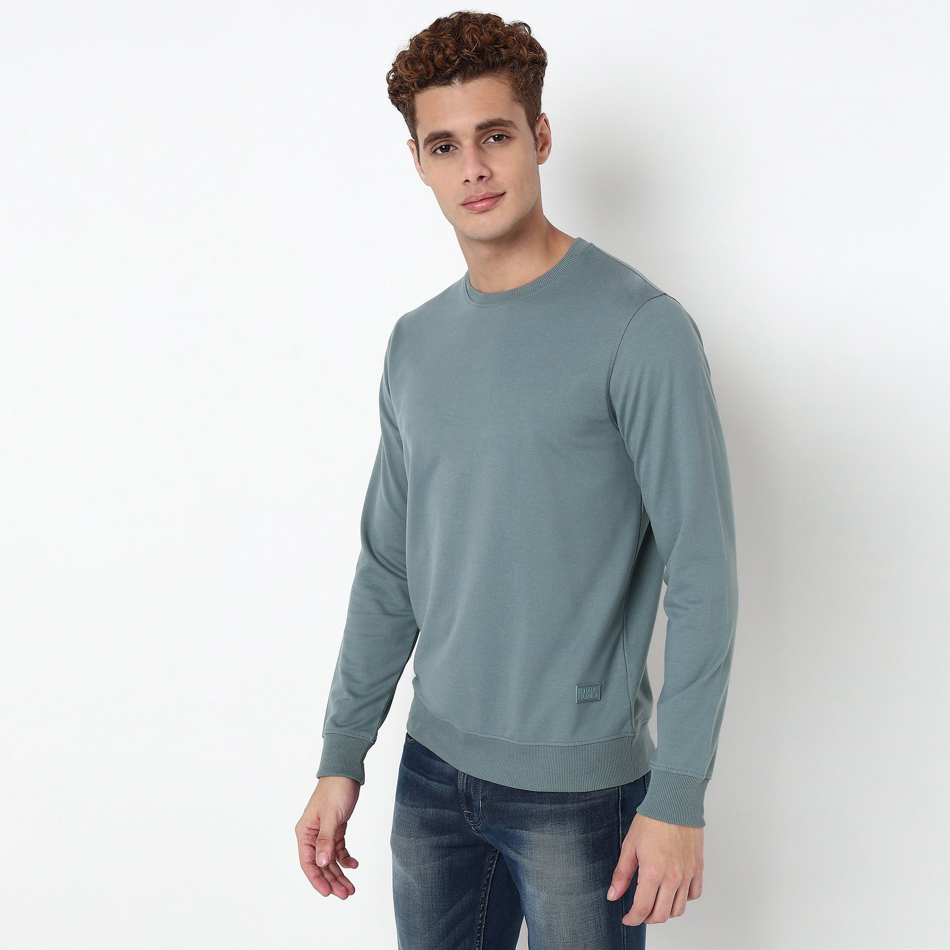 Regular Fit Solid Sweatshirt