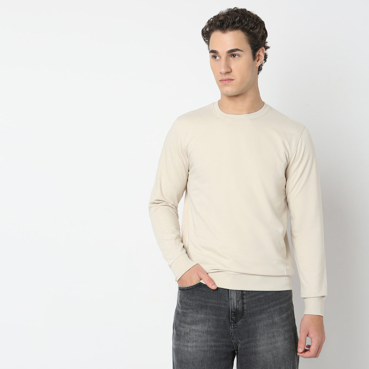 Regular Fit Solid Sweatshirt