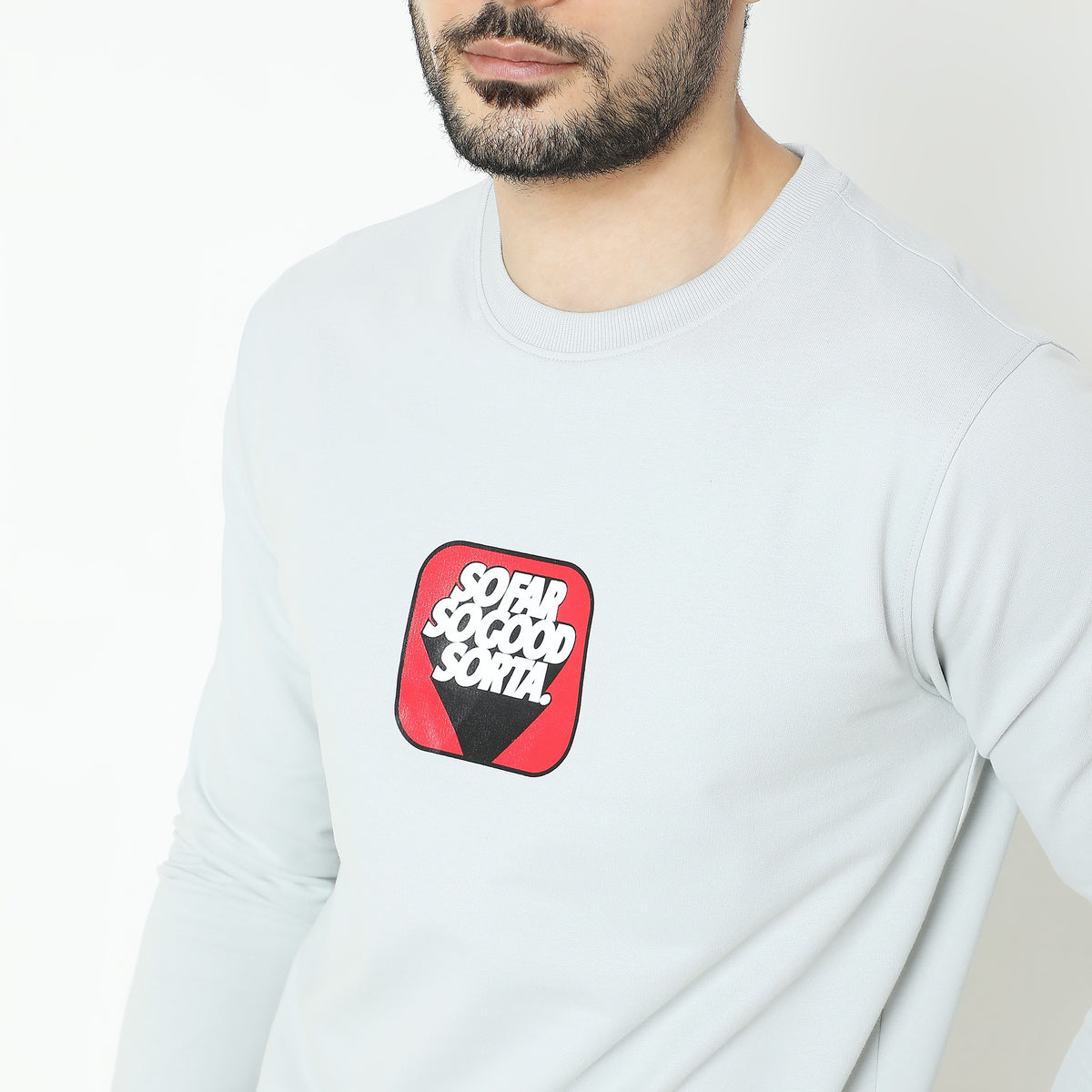 Regular Fit Graphic Sweat Tees