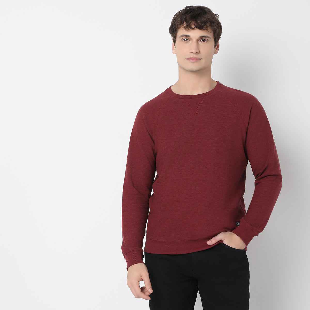 Regular Fit Solid Sweat Tees