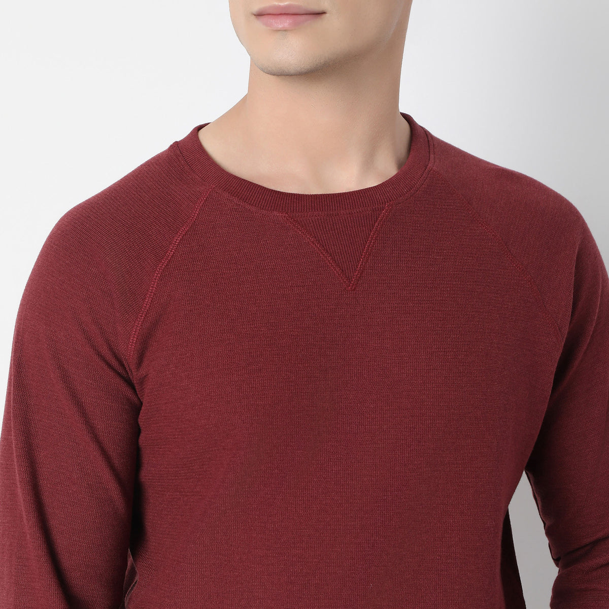 Regular Fit Solid Sweat Tees