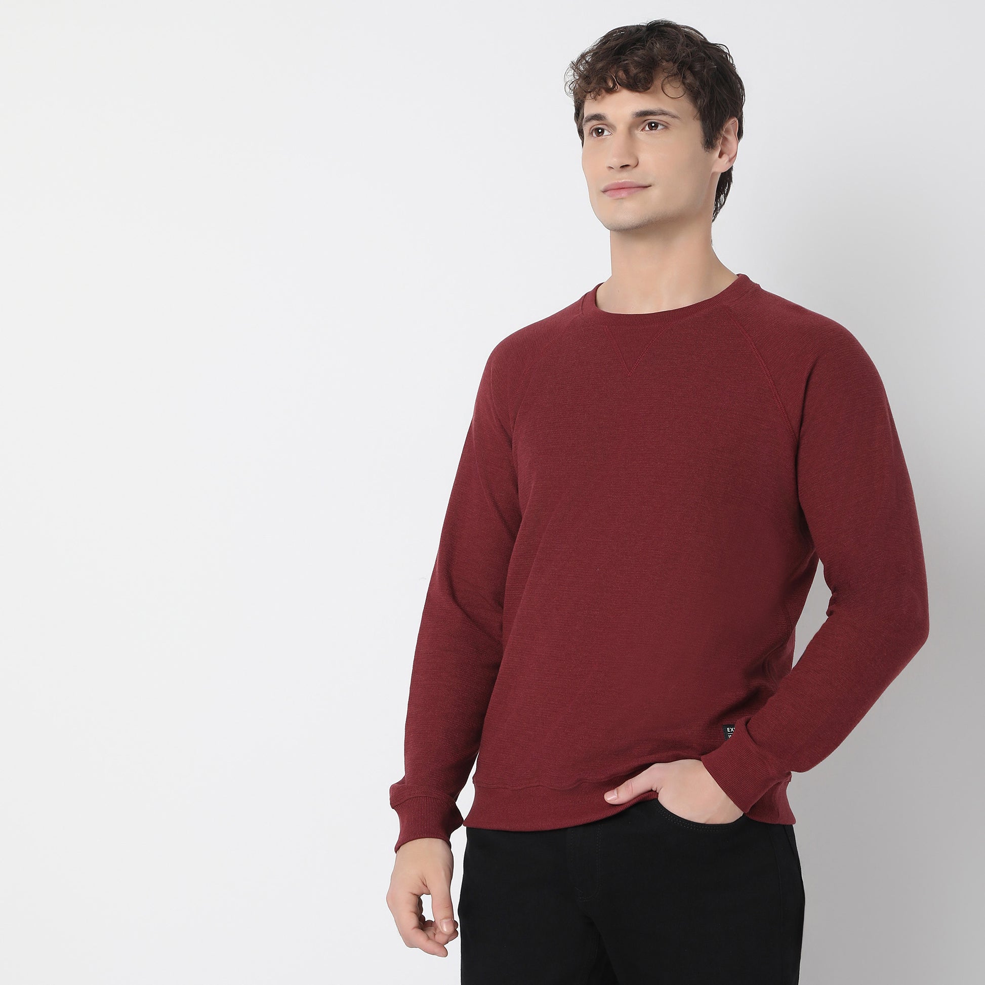 Buy Men Regular Fit Solid Raglan Sleeve Sweat Tee  - Style Union