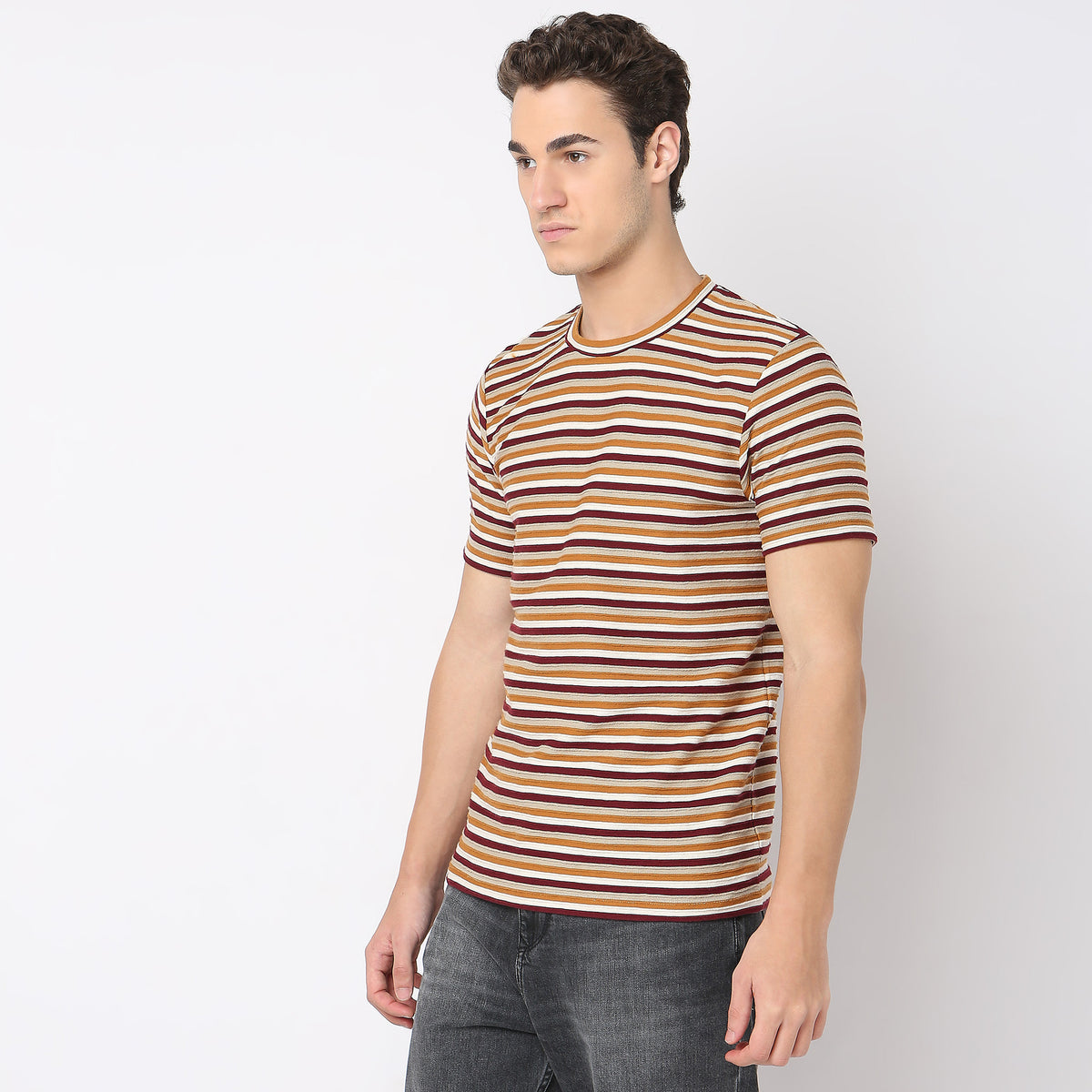 Regular Fit Striped T-Shirt