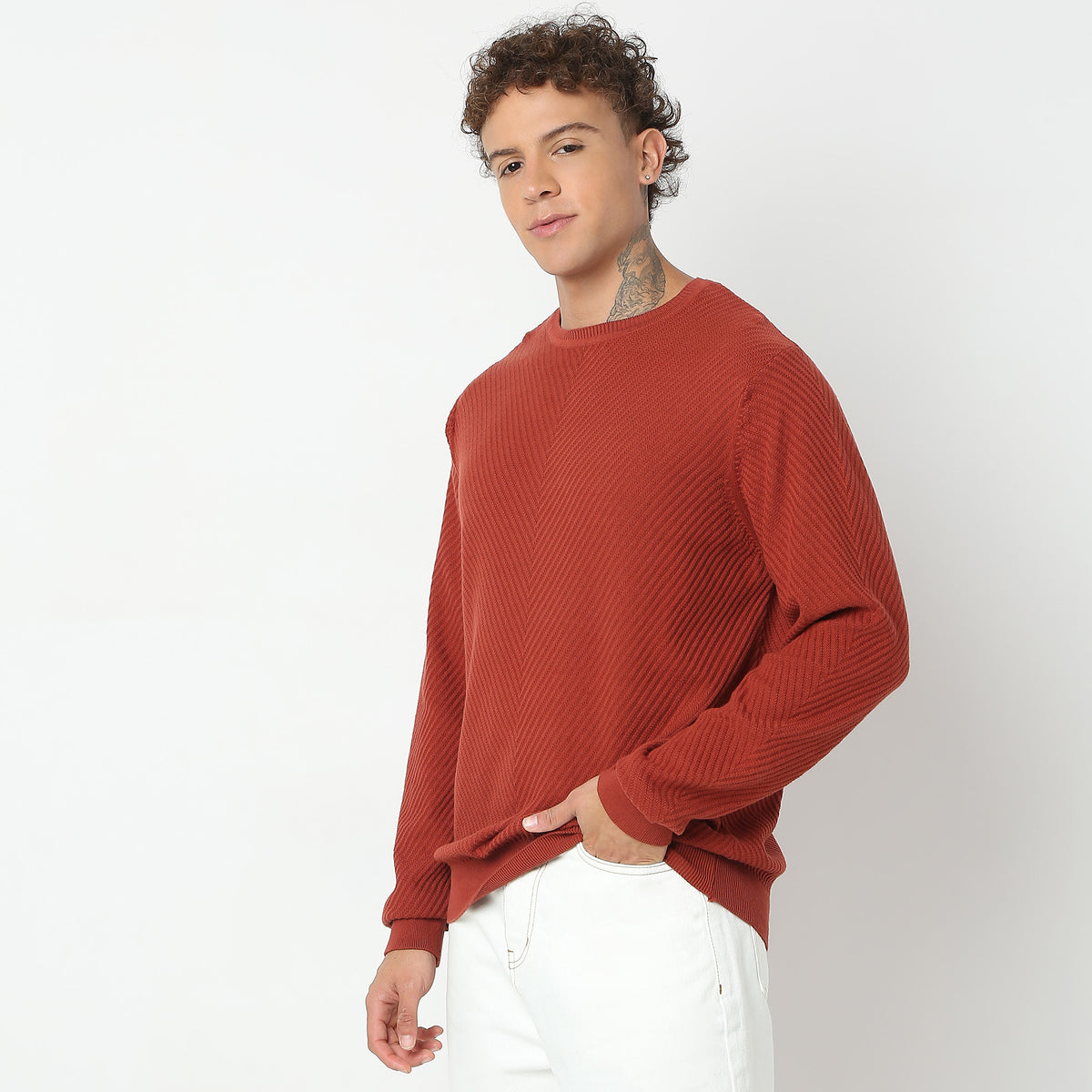 Regular Fit Structured Sweater