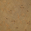 Embroidered Chanderi Dupatta