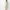 Flare Fit Embroidered Dress