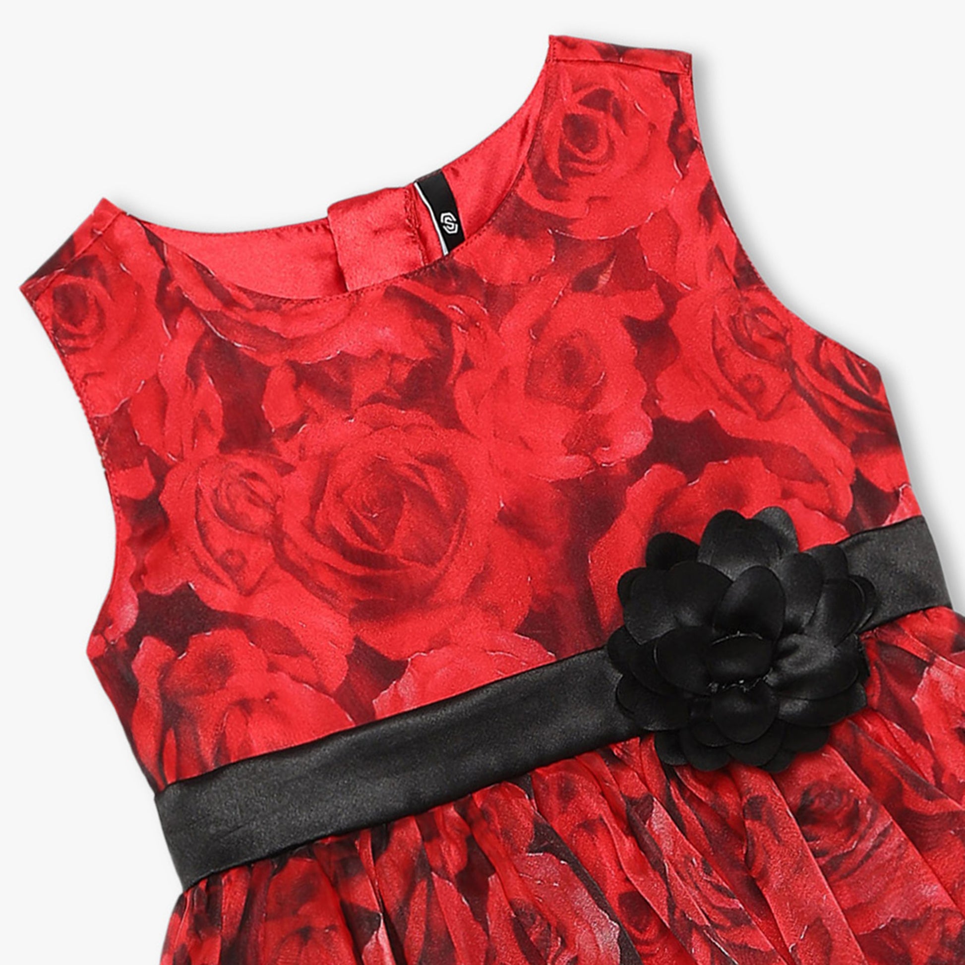 Girls Regular Fit Printed Dress