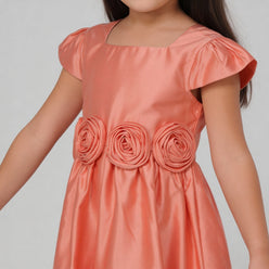 Girls Flared Satin Frock