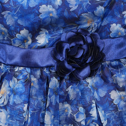 Girls Printed Organza Dress