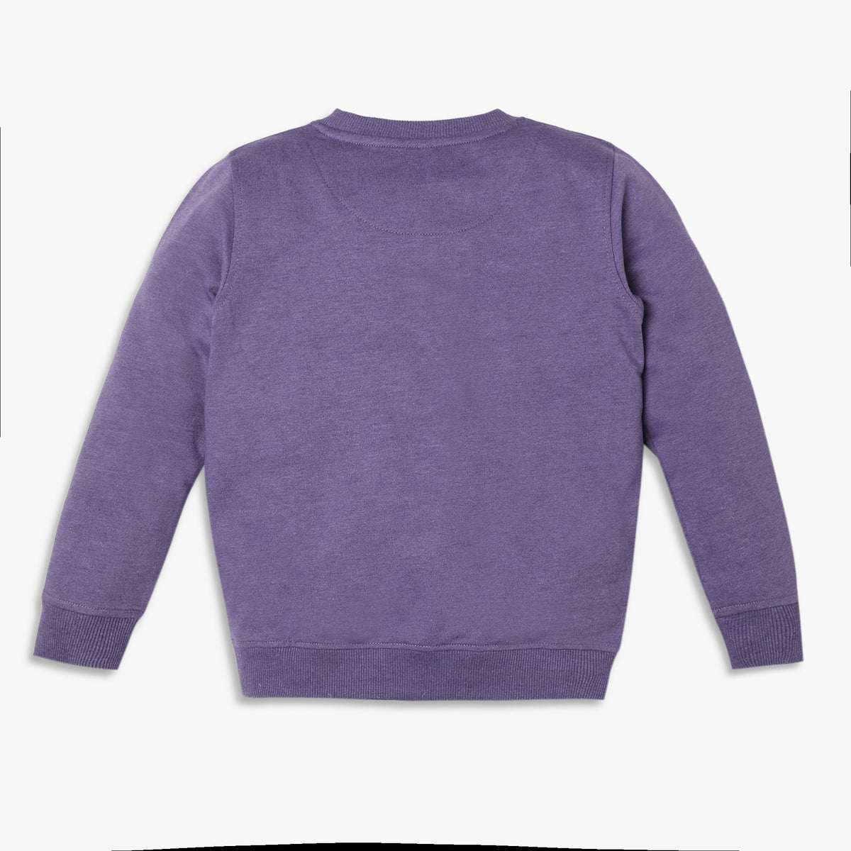 Girls Regular Fit Jacquard Sweat Tees