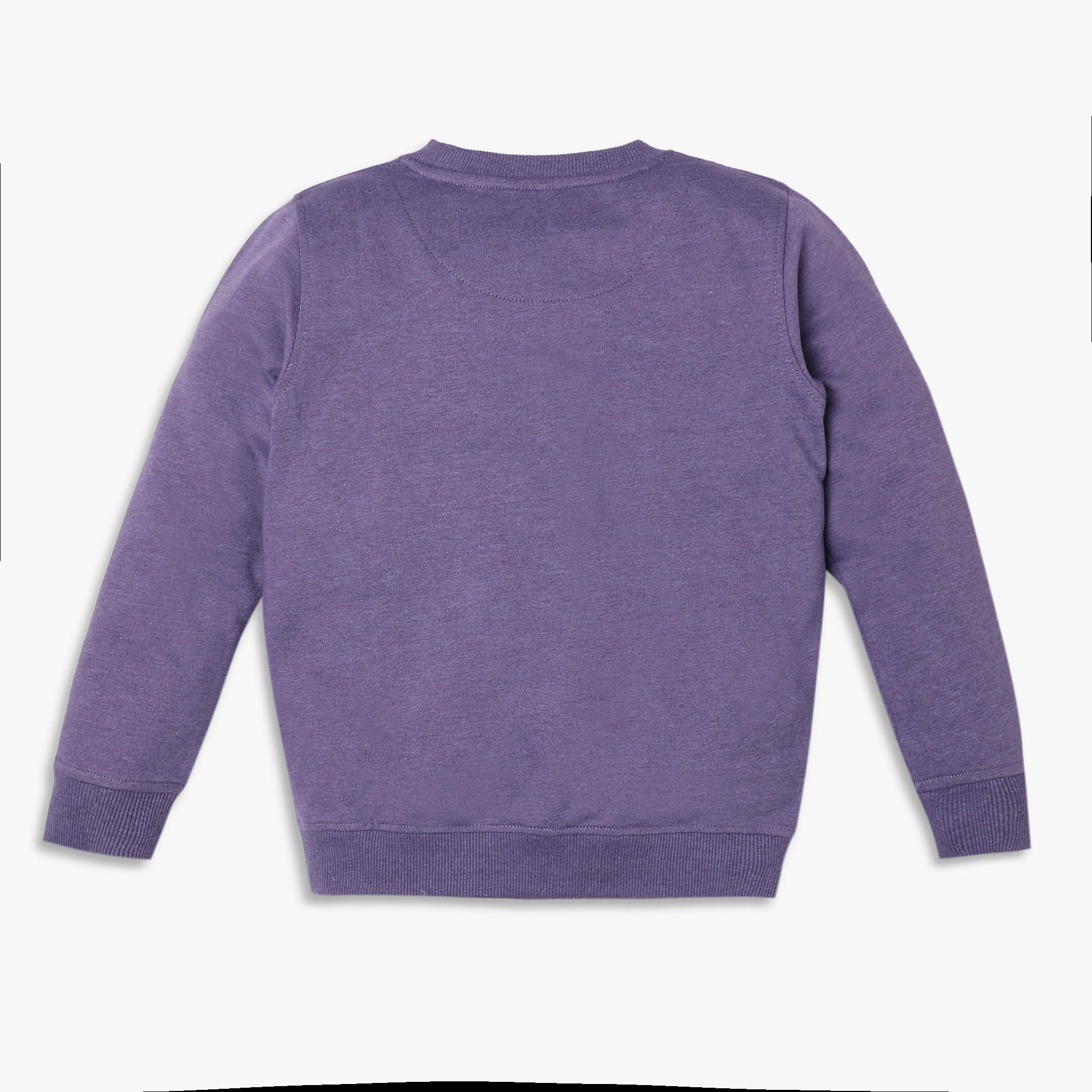 Girls Regular Fit Jacquard Sweat Tees