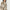 Straight Fit Printed Band Collar Calf Length Kurta