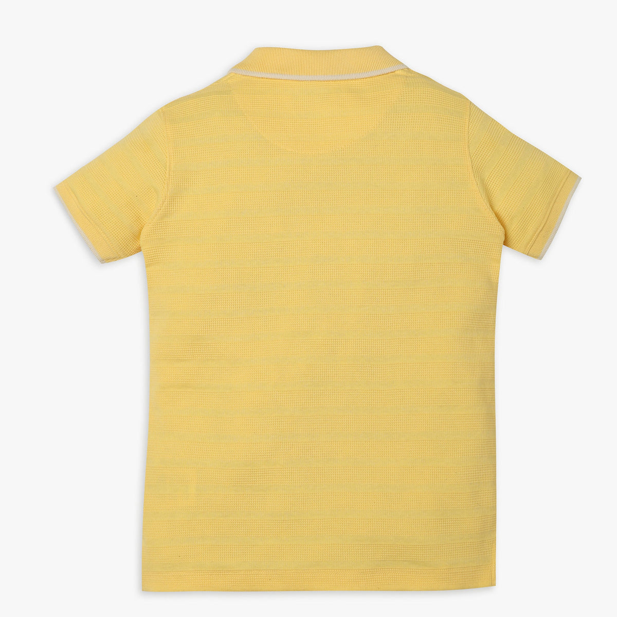 Boys Regular Fit Cut and Sew Polo T-Shirt