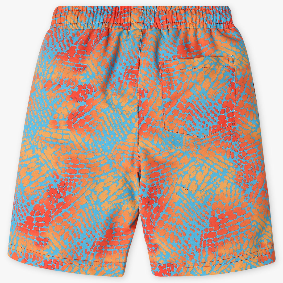 Boys Comfort Fit Printed Mid Rise Shorts