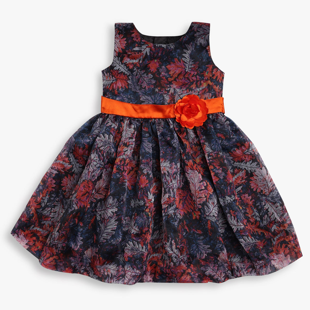 Girls Regular Fit Printed Frock