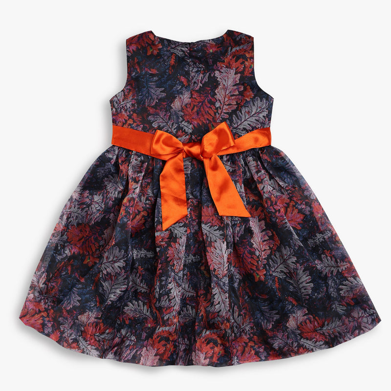 Girls Regular Fit Printed Frock