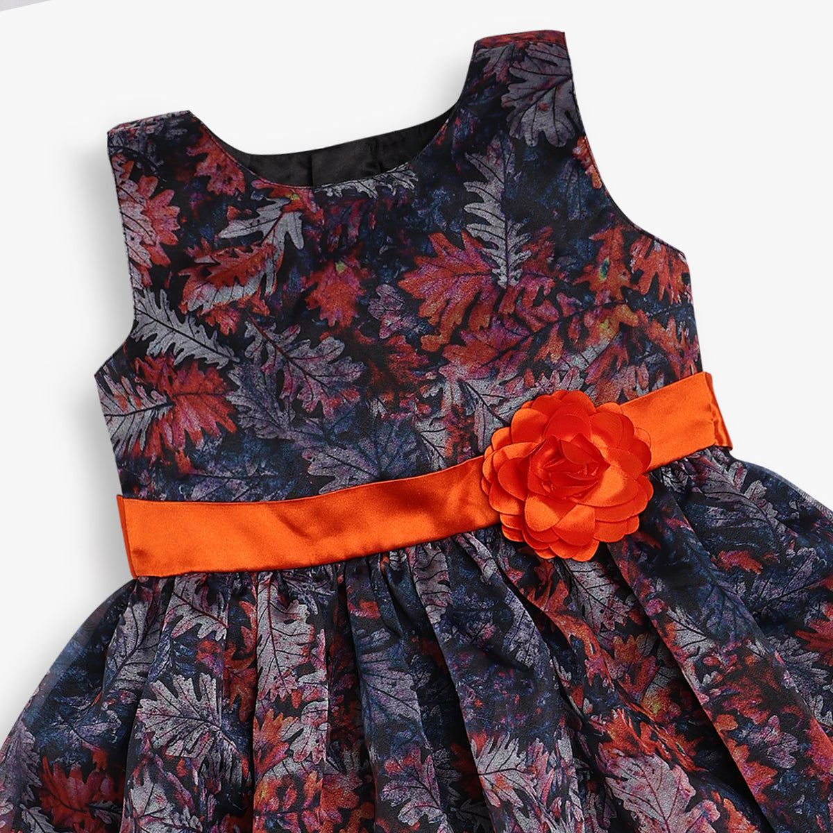 Girls Regular Fit Printed Frock