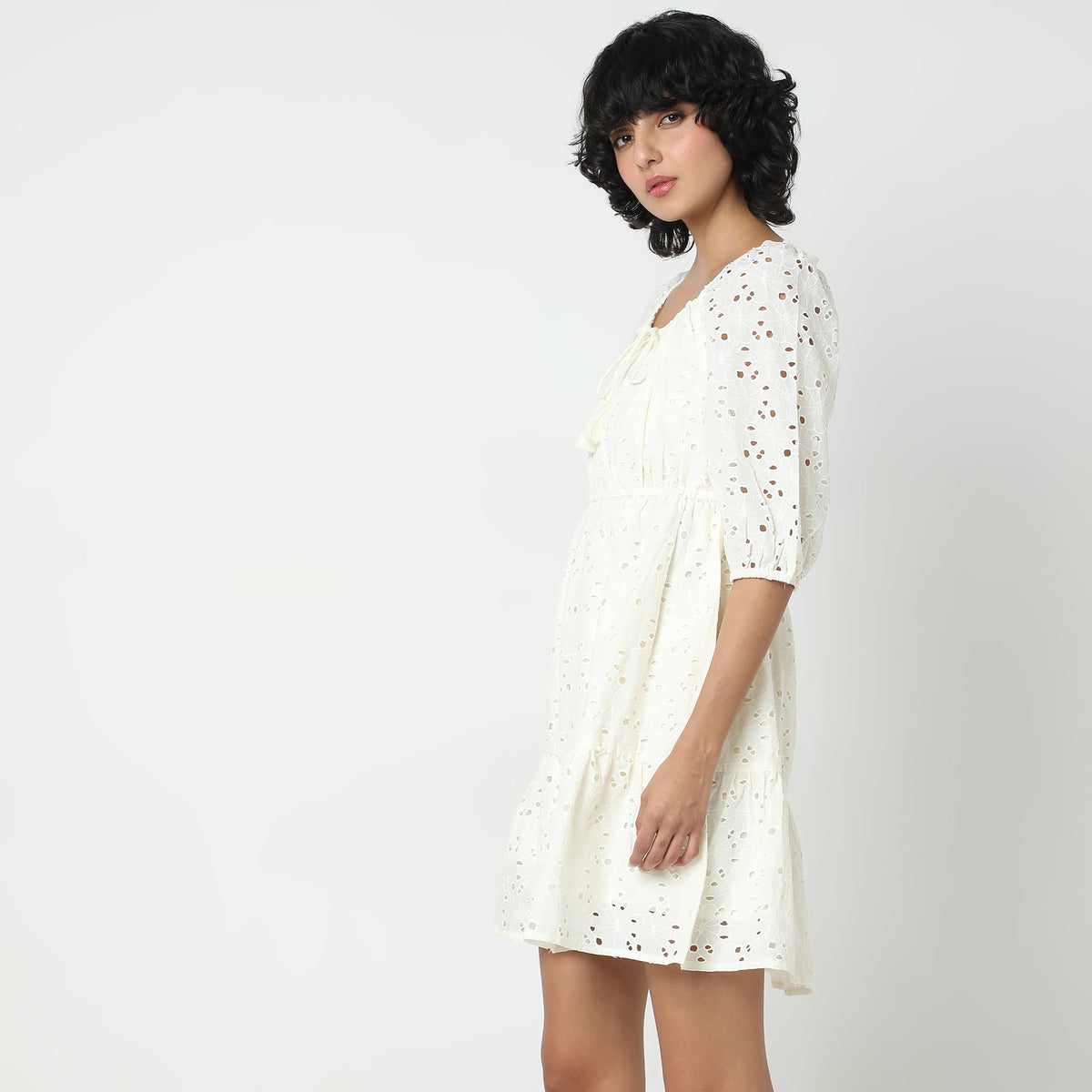 Regular Fit Lace Dress