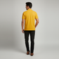 Regular Fit Solid Polo T-Shirt