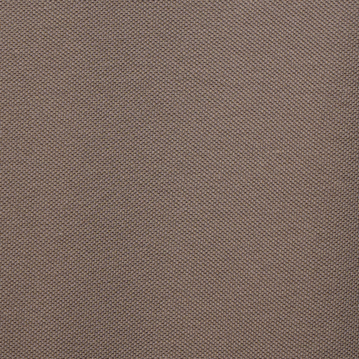 Regular Fit Solid Polo T-Shirt
