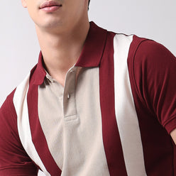Regular Fit Striped Polo T-Shirt