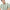 Modern Nerd Hand Knit Jersey Striped Polo Neck Half Sleeve T-Shirt