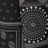 Printed High Rise Straight Pant