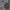 Printed Flare Fit High Rise Skirt