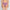 High Rise Printed High Leg Panties - Pack of 3