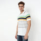 Knitted Striped Madison Polo T-Shirt