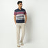 Regular Fit Striped Polo Neck T-Shirt