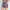 Cotton High Rise Shorts