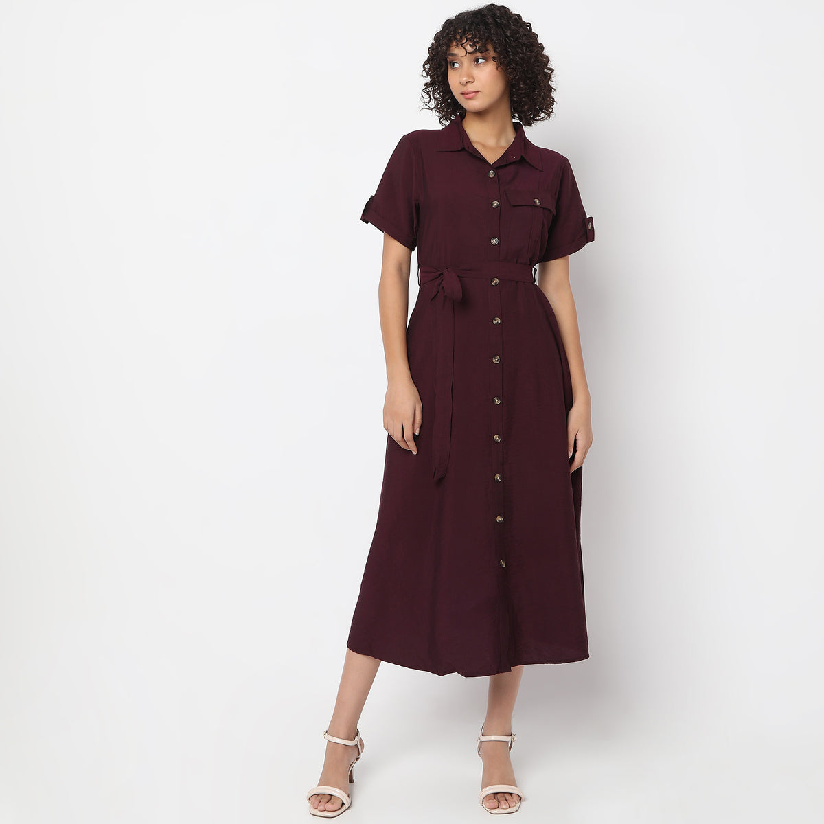 Regular Fit Solid Dress