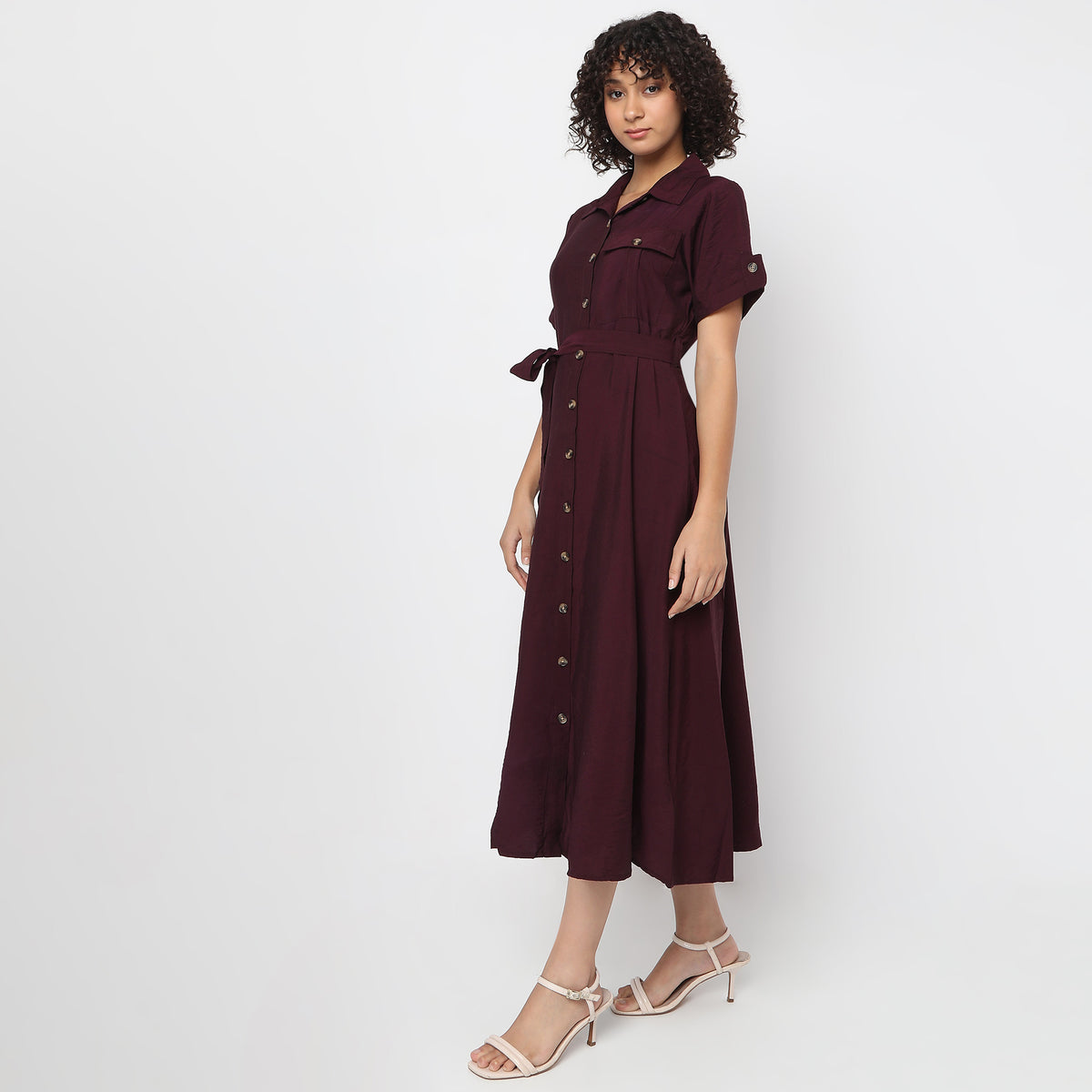 Regular Fit Solid Dress