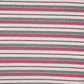Striped Slim Fit Crop T-Shirt